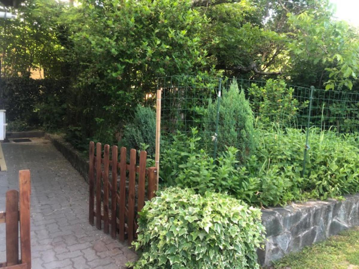 Tulipán ház Villa Szentendre Ngoại thất bức ảnh
