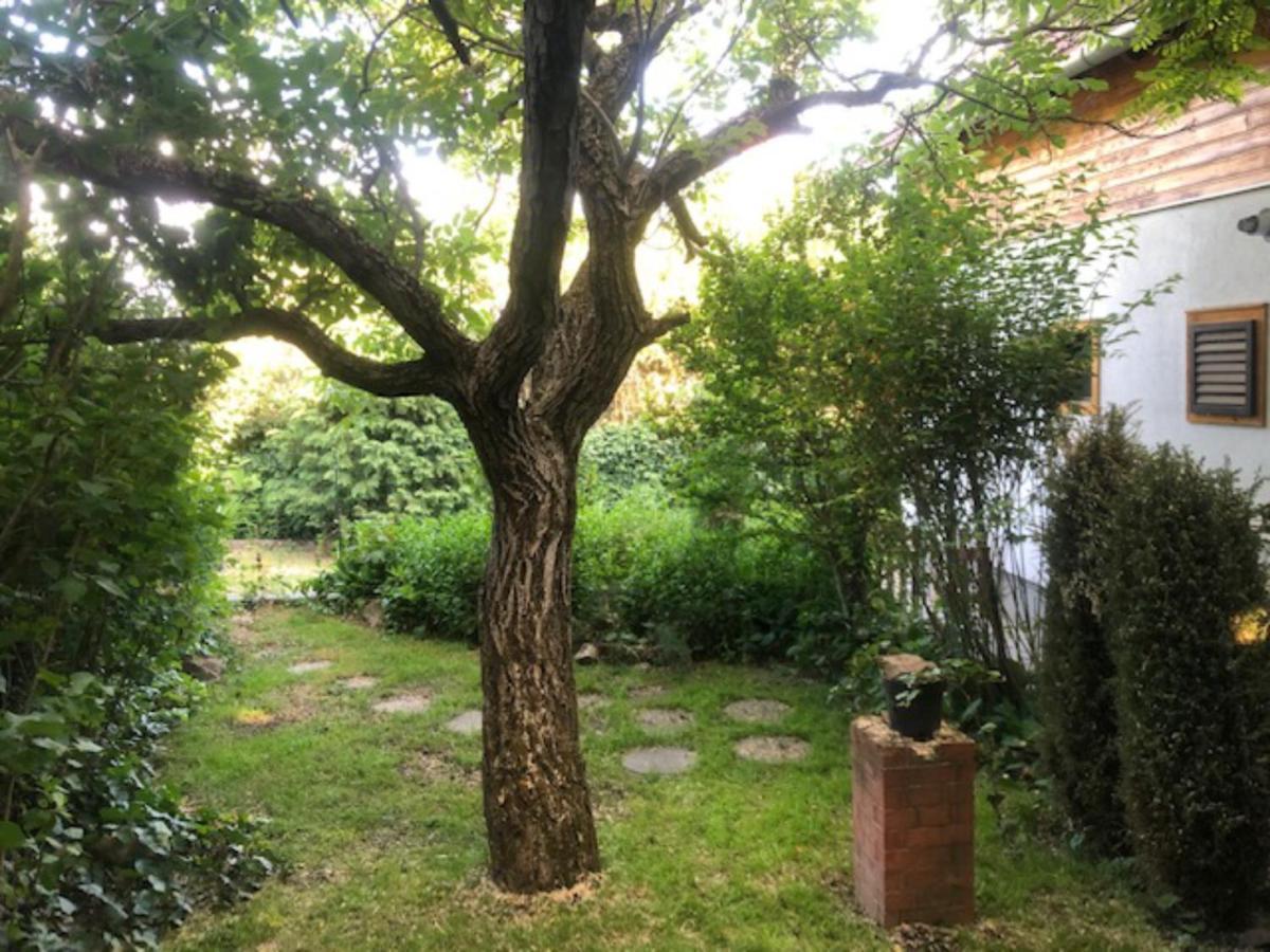 Tulipán ház Villa Szentendre Ngoại thất bức ảnh