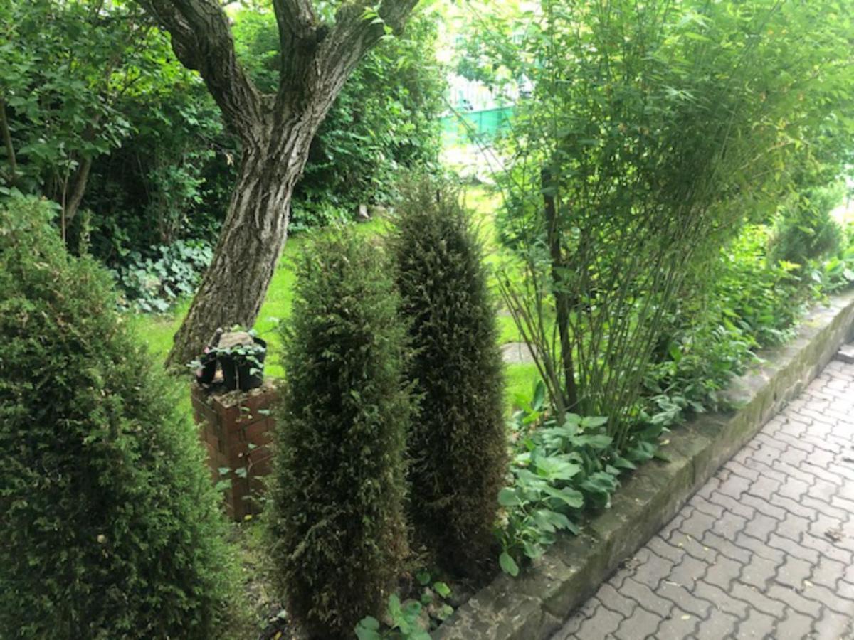 Tulipán ház Villa Szentendre Ngoại thất bức ảnh